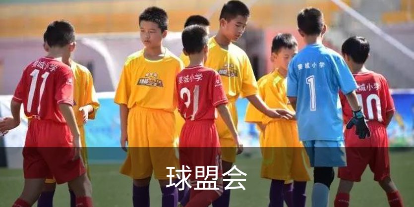 球盟会概况